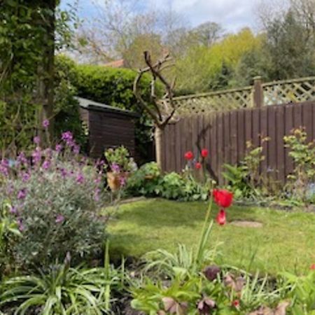 Picturesque Stone Cottage In The Heart Of North Yorkshire Village - Hideaway Cottage المظهر الخارجي الصورة