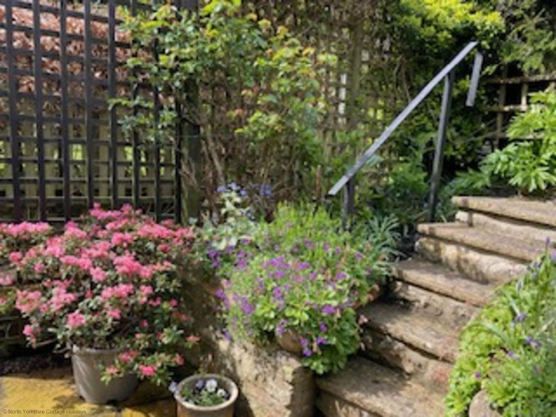 Picturesque Stone Cottage In The Heart Of North Yorkshire Village - Hideaway Cottage المظهر الخارجي الصورة