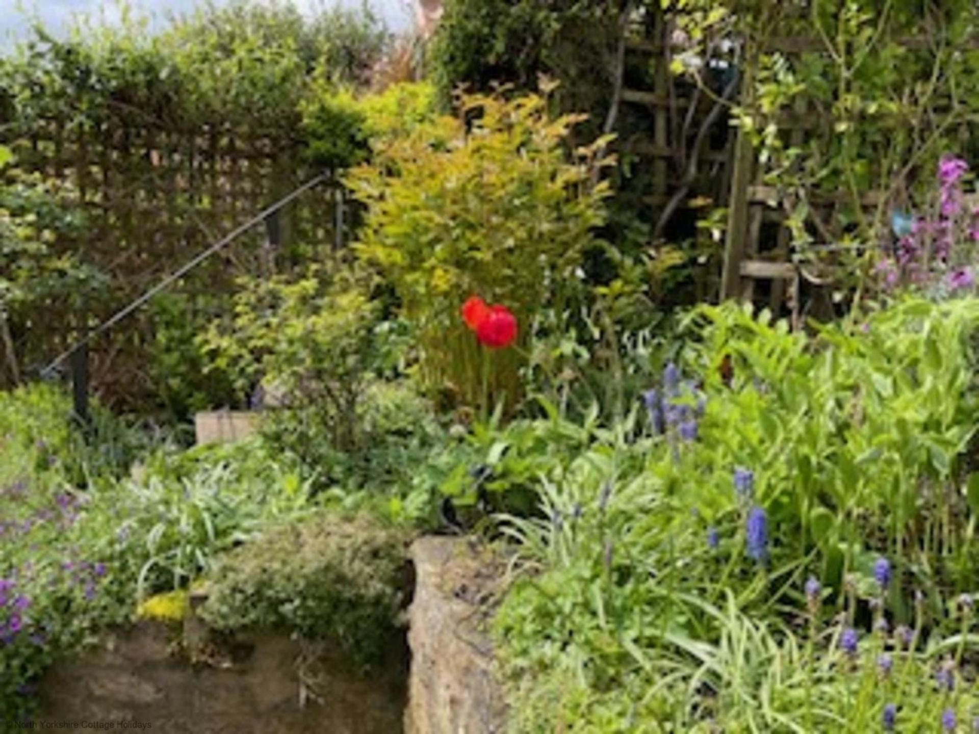 Picturesque Stone Cottage In The Heart Of North Yorkshire Village - Hideaway Cottage المظهر الخارجي الصورة